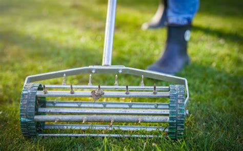 How To Aerate Your Lawn By Hand 5 Methods