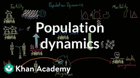 Population Dynamics Society And Culture Mcat Khan Academy Youtube