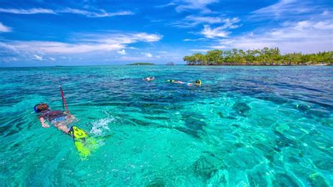 Snorkeling Tours The Best Snorkeling Spots In Belize Island Expeditions