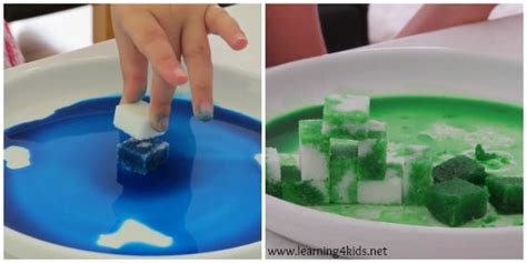 Sugarcubesandabsorption Easy Science Experiments Science Activities