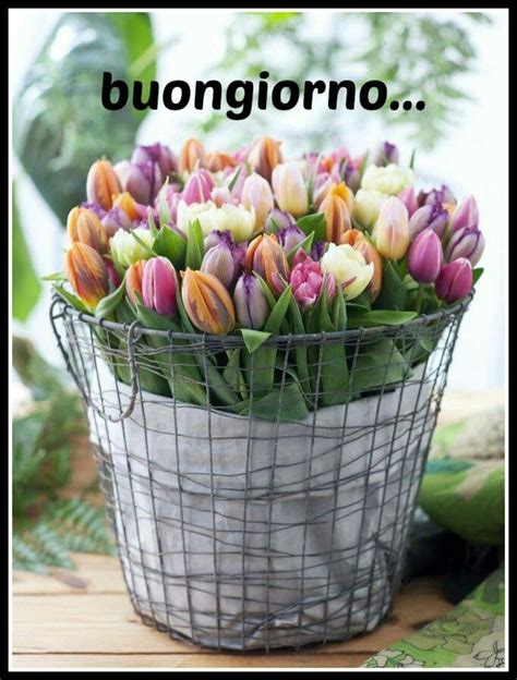 Immagini di buongiorno con giorni della settimana. 200+ Buongiorno Link Immagini e Frasi da inviare - Pagina 9 di 21 - BestImmagini.it