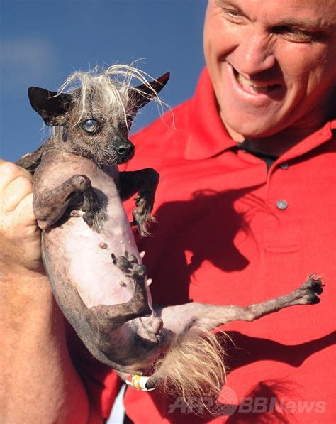 今年も開催、「世界一醜い犬コンテスト」 写真15枚 国際ニュース：afpbb News