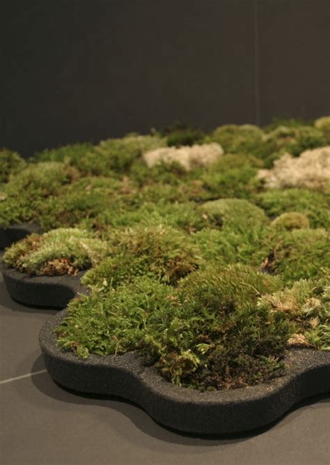 This diy moss bath mat will feel like you're stepping into a beautiful garden. Living Moss Bath Mat by Nguyen La Chanh - Homeli