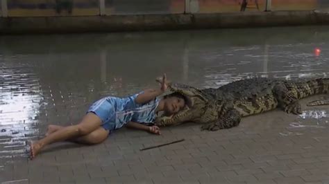 alligators attacks caught on tape alligator attak videos youtube