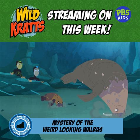 Wild Kratts Wild Kratts Episodes Streaming On The Pbs Facebook
