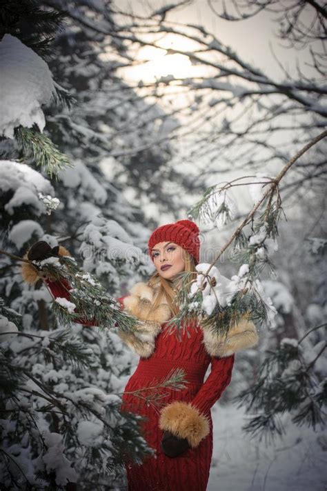 Beautiful Babe Woman Posing Under Christmas Tree Stock Photos