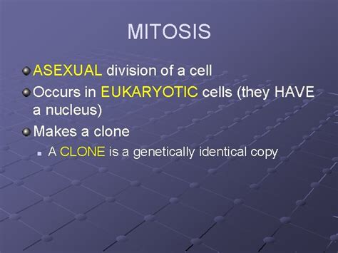Mitosis And Meiosis Cell Division Mitosis Asexual Division