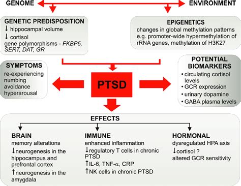 Types Of Ptsd Types Of Post Traumatic Stress Disorder Causes My XXX