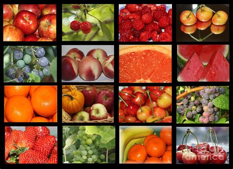 Fruits Collage Photograph By Yumi Johnson Pixels