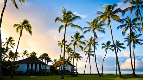 바탕 화면 다운로드 1920x1080 하와이 카우아이 아름다운 풍경 야자수 여름 집 풀 Hd Hd 배경