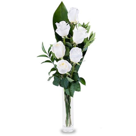 Online Half Dozen White Roses In Vase Delivery To Davao Philippines