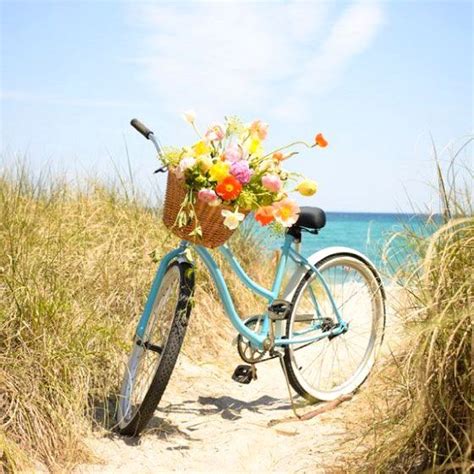 927 Best Bikes With Lovely Flowers Images On Pinterest Bicycle Basket