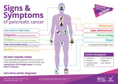 Upon diagnosis, patients often look back and start to make a. World Pancreatic Cancer Day - Would You See It Coming ...