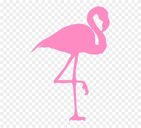 Download High Quality Flamingo Clip Art Transparent Background