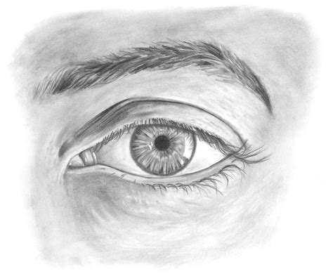 How To Draw A Realistic Eye Lets Draw Today