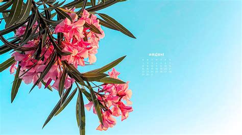 August 2021 Wallpapers 33 Free Calendars For Desktop And Phones