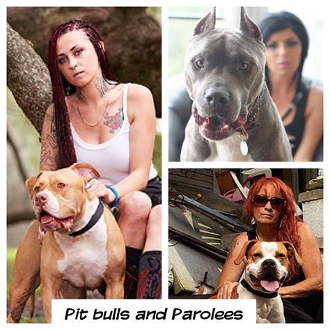 Where Is Tia's Husband From Pitbulls And Parolees - Pitbull Dog