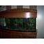 Custom Made Fish Tank Canopy For Sale In Doylestown Pennsylvania 