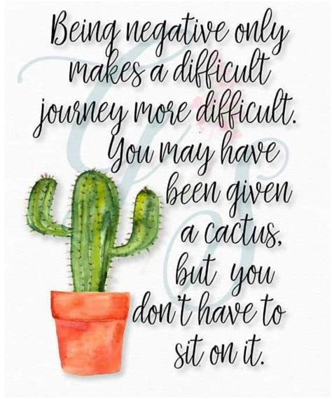 You have a very prickly exterior that needs to be navigated very carefully. Pin by Ellen Church-Stroud on Say What? | Cactus quotes, Cactus, Words