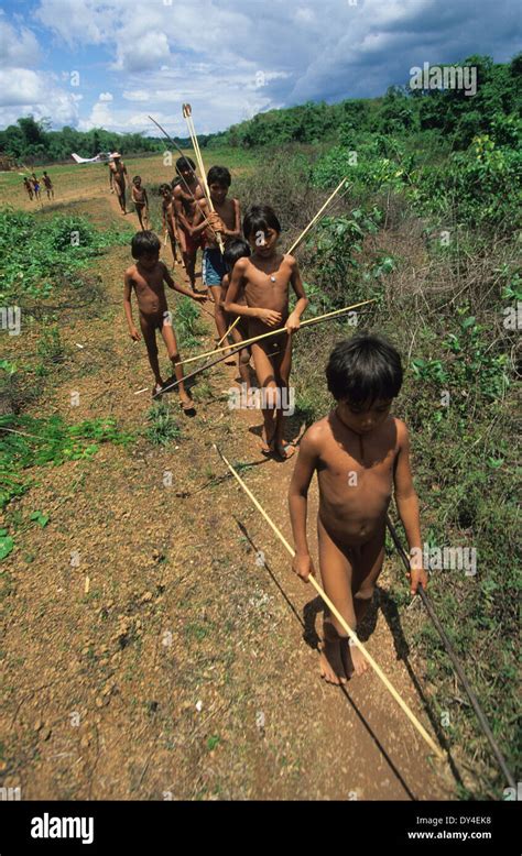 Yanomami Arrow Fotos E Imágenes De Stock Alamy