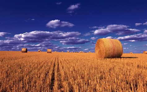 Hdwallpapers.net is a place to find the best wallpapers and hd backgrounds for your computer desktop (windows, mac or linux), iphone, ipad or android devices. Straw Balls Wheat Field Sky So Clouds Montana Photo Landscape Desktop Wallpaper Hd For Laptop ...