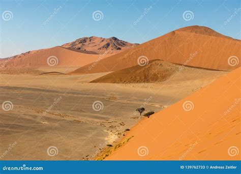 African Landscape Beautiful Red Sand Dunes And Nature Of Namib Desert