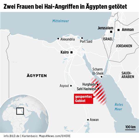 Wo Genau Hai-Angriff Hurghada?