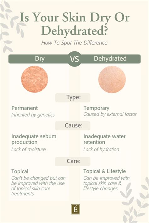 What Is The Cause Of Dehydrated Skin Eminence Organic Skin Care