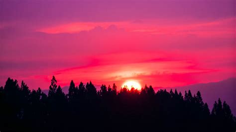 Download Wallpaper 1366x768 Sunset Sky Pink Trees Sun Tablet