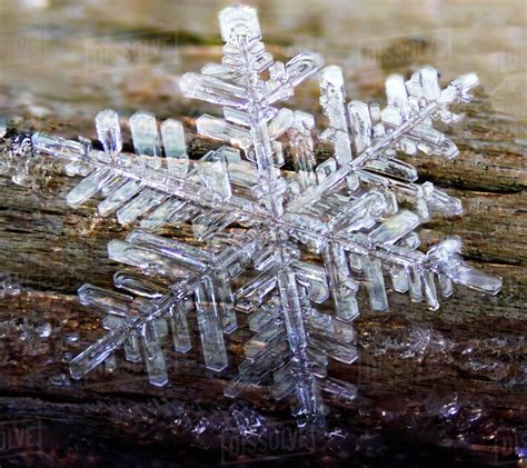 Hexagonal Frozen Crystal Formed From Hoar Frost Stock Photo Dissolve
