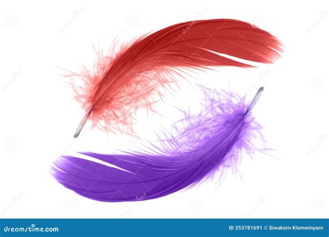 Abstract Red Feather And Purple Feather Isolated On White Background