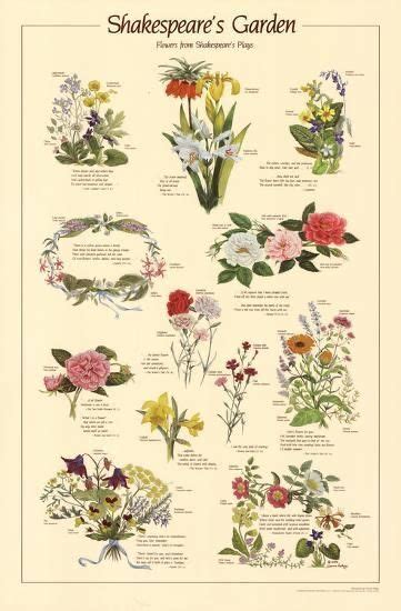 Edible Wild Flowers Fine Art Print — Foraging And Feasting Artofit