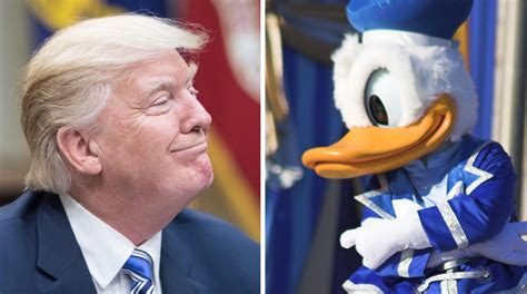 Donald Duck Gegen Trump Wie Die Ente Die Ehre Ihres Namens Retten