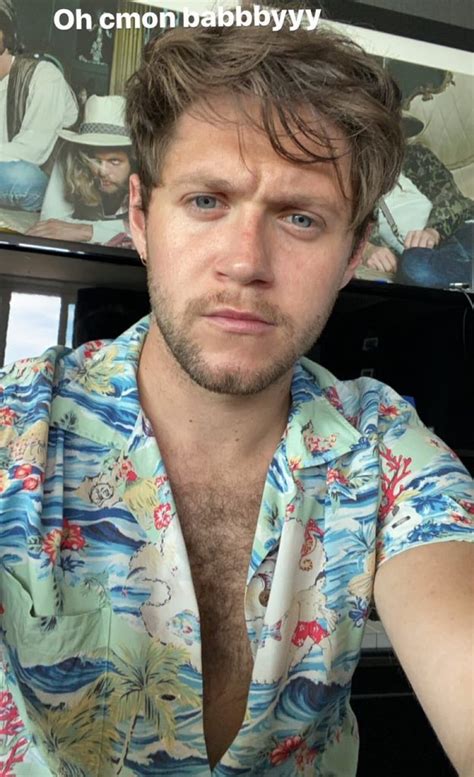 The Hairy Horan On Twitter I Want To Get Lost In Nialls Hairy Chest 😍