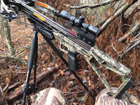 Crossbow Tips Gearing Up For A Killer Ground Grand View Outdoors