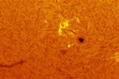 Incredible Close Up Photos Of The Sun Taken In Amateur Astronomer S