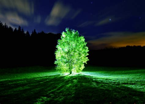 Mit Just Created Living Plants That Glow Like A Lamp And Could Grow