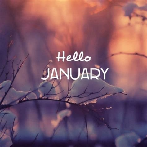 Goodbye December Hello January Images Quotes Free Pdf Oppidan Library