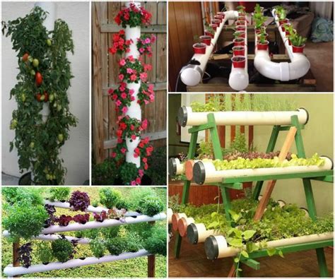 Diy Pvc Gardening Ideas And Projects Farm Pinterest Strawberry