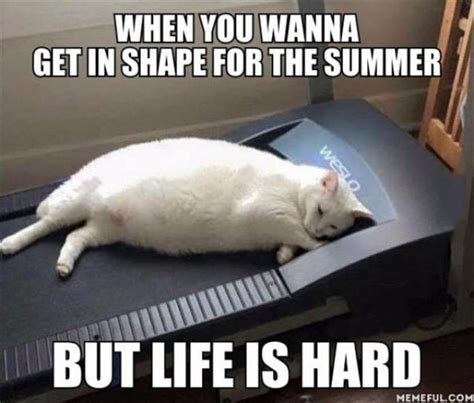 25 hot and hilarious summer body meme