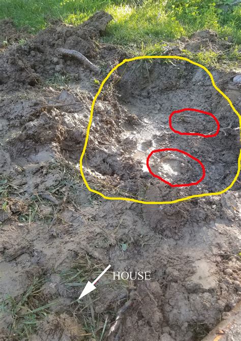 When you are looking for clues that will help you to find a septic tank, there are a few areas, where you should not spend time searching. Trying To Locate Lid To Septic Tank - Plumbing - DIY Home ...