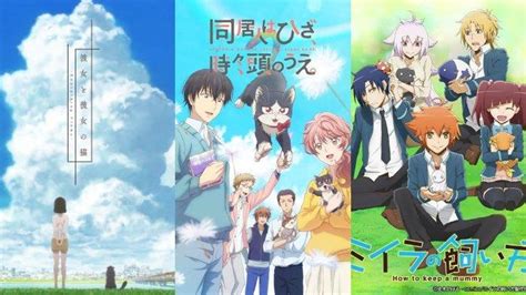 3 Rekomendasi Anime Genre Pets Yang Tayang Selain Di Anoboy Ada My