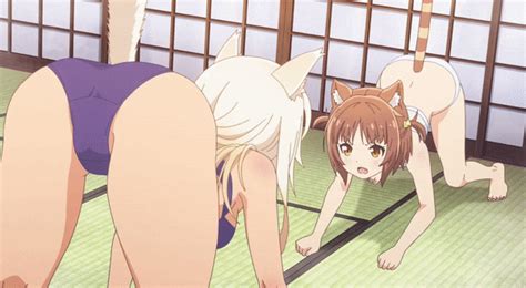 Nekoparas Exquisite Cat Girls Strip Down Into Their Pantsu Sankaku