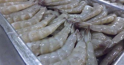 Vannamei Shrimp Sizes Length Weight And Coding System Vannamei