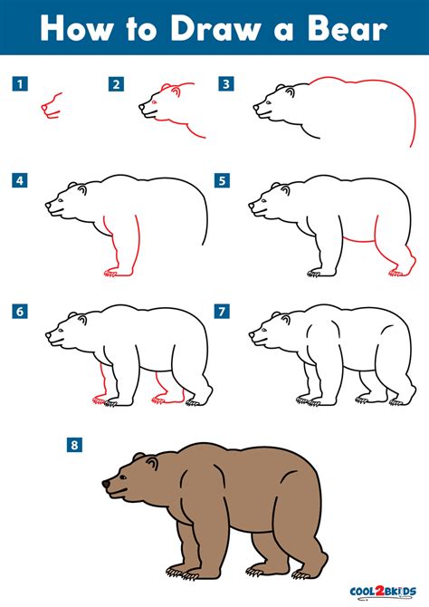 How To Draw A Grizzly Bear Step By Step Easy