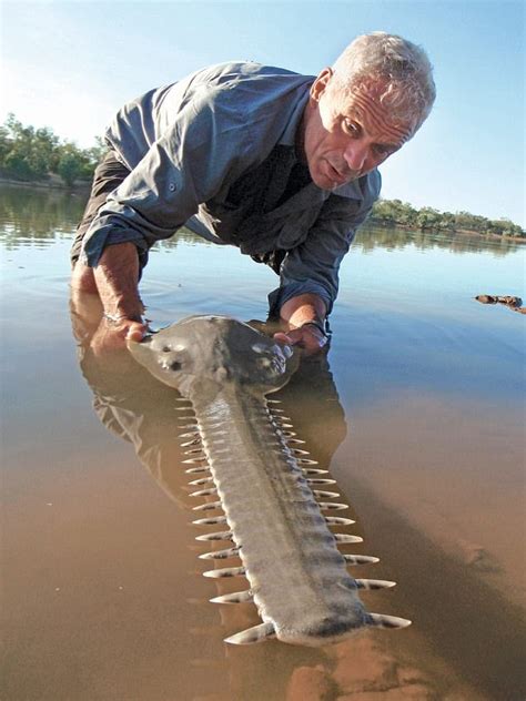 River Monsters Returns For An Eighth Series Daily Mail Online