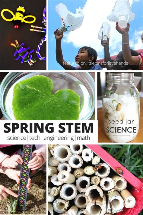 Spring STEM Activities and Plant Science Activities for Kids
