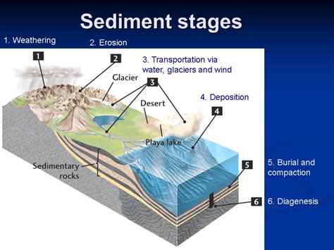 Sediments And Sedimentary Rocks Sedimentary Rock A Rock