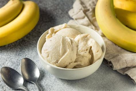 Homemade Healthy Vegan Banana Ice Cream Stock Image Image Of Vegan