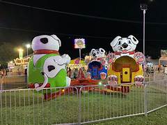 The Craigslist Baltimore Puppy Fair Where Every Pup Finds A Home